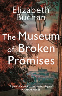 The Museum of Broken Promises - Elizabeth Buchan - ebook