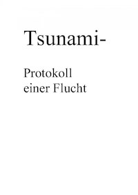 Tsunami- Protokoll einer Flucht - Klaus Hönn - ebook