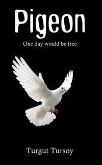 Pigeon - Turgut Tursoy - ebook