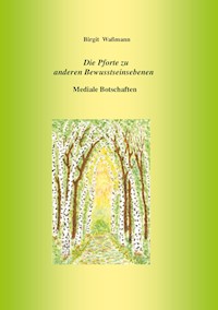 Die Pforte zu anderen Bewusstseinsebenen - Birgit Waßmann - ebook