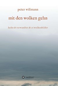 mit den wolken gehn - Peter Wißmann - ebook