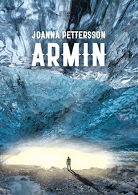 Armin - Pettersson Joanna - książka