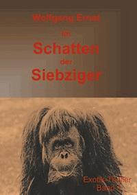Im Schatten der Siebziger Band 1 - Wolfgang Ernst - ebook