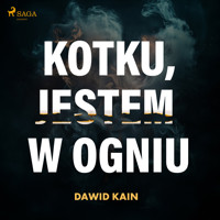 Kotku jestem w ogniu - Dawid Kain - ebook + audiobook