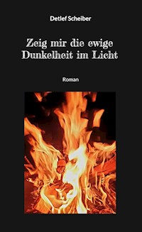 Zeig mir die ewige Dunkelheit im Licht - Detlef Scheiber - ebook