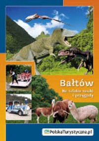Bałtów. Na szlaku nauki i przygody - Marek Rej, Zbigniew Tyczyński - książka