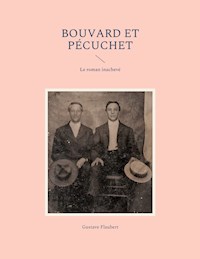 Bouvard et Pécuchet - Gustave Flaubert - ebook