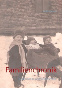 Familienchronik - DoKo Tanwic - ebook