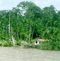 Alua - Gesine Kunst - ebook