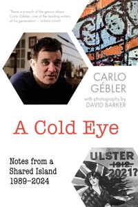 A Cold Eye - Carlo Gébler - ebook