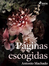 Páginas escogidas - Antonio Machado - ebook