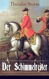 Der Schimmelreiter - Theodor  Storm - ebook