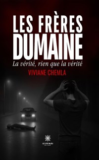 Les frères Dumaine - Viviane Chemla - ebook