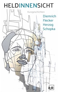 HELDINNENSICHT - Robert Diemrich - ebook