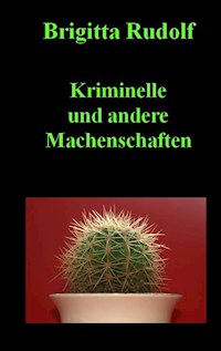 Kriminelle und andere Machenschaften - Brigitta Rudolf - ebook