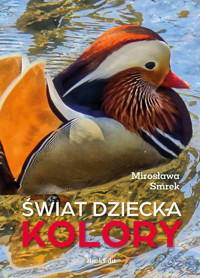 Świat dziecka Kolory - Smrek Mrosława - książka
