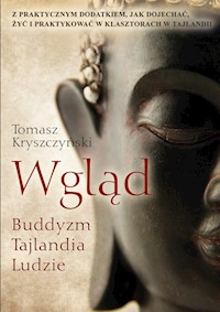 Wgląd - Tomasz Kryszczyński - książka