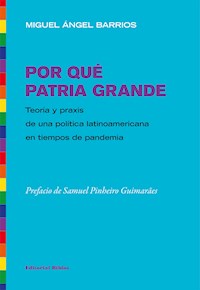 Por qué Patria Grande - Miguel Ángel Barrios - ebook