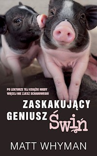 Zaskakujący geniusz świń - Matt Whyman - książka