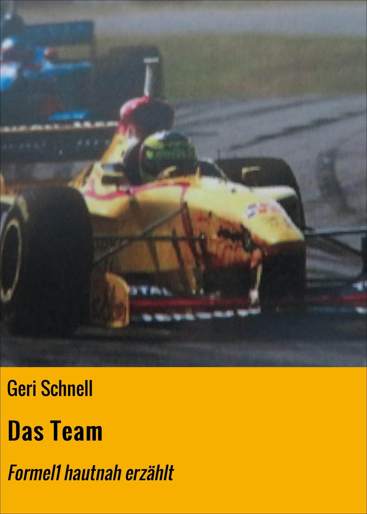 Das Team - Geri Schnell - ebook