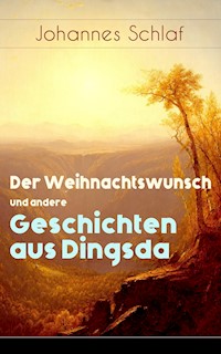 Der Weihnachtswunsch und andere Geschichten aus Dingsda - Johannes Schlaf - ebook