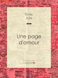 Une page d'amour - Emile Zola - ebook