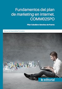 Fundamentos del plan de marketing en internet. COMM025PO - Pilar Caballero Sánchez de Puerta - ebook