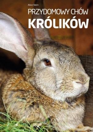 Przydomowy chów królików - Alice Stern - książka