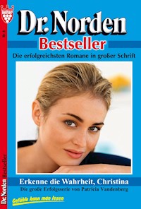 Dr. Norden Bestseller 8 – Arztroman - Vandenberg Patricia - ebook