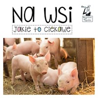 Na wsi Jakie to ciekawe -  - książka