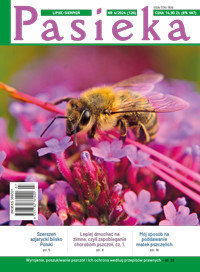 Pasieka 2024 nr 4 - Czasopismo Pasieka - ebook