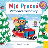 Miś Pracuś Zimowe zabawy - Davies Benji - książka