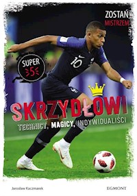 Skrzydłowi Technicy magicy indywidualiści - Jarosław Kaczmarek - książka