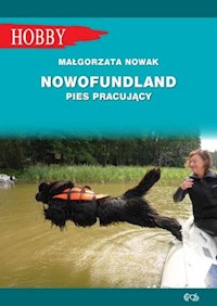 Nowofundlad pies pracujący - Nowak Małgorzata - książka