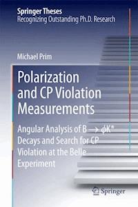 Polarization and CP Violation Measurements - Michael Prim - ebook