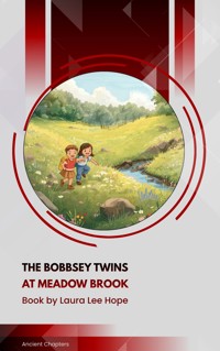 The Bobbsey Twins at Meadow Brook - Laura Lee Hope - ebook