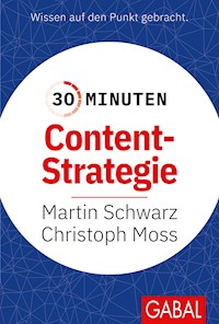 30 Minuten Content-Strategie - Martin Schwarz - ebook