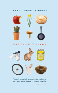 Small Birds Singing - Matthew Welton - ebook