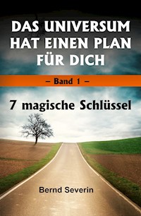 DAS UNIVERSUM HAT EINEN PLAN FÜR DICH - Bernd Severin - ebook