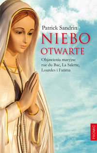 Niebo otwarte - Sandrin Patrick - książka