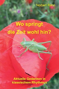 Wo springt die Zeit wohl hin? - Norbert Rahn - ebook