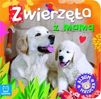 Album malucha. Zwierzęta z mamą - opracowanie zbiorowe - książka