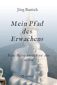 Mein Pfad des Erwachens - Joerg Banisch - ebook