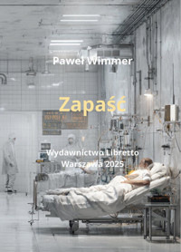 Zapaść - Paweł Wimmer - książka