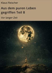 Aus dem puren Leben gegriffen Teil 8 - Klaus Fleischer - ebook