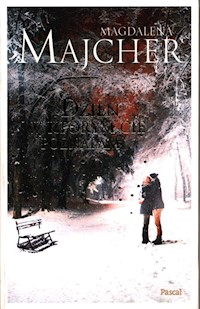 Dzień, w którym Cię poznałam - Magdalena Majcher - ebook + książka