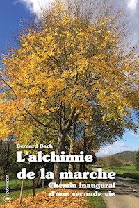 L'alchimie de la marche - Bernard Bach - ebook