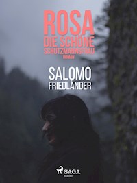 Rosa, die schöne Schutzmannsfrau - Salomo Friedländer - ebook