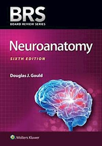 BRS Neuroanatomy - Gould Douglas J. - książka