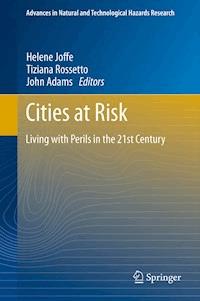 Cities at Risk -  - ebook